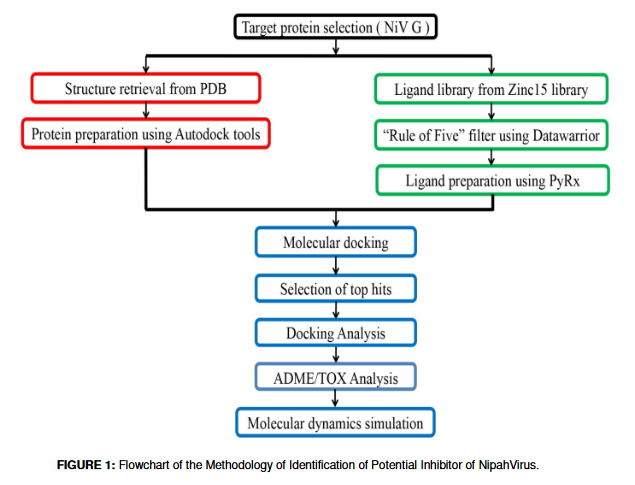 Identification of Potential Inhibitors against Attachment Glycoprotein G of Nipah Virus using Comprehensive Drug Repurposing Approach